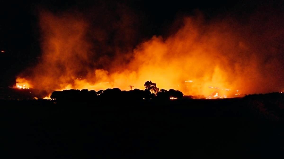 Aydın haberi… Söke ilçesinde ormanlık alanda çıkan yangına müdahale ediliyor