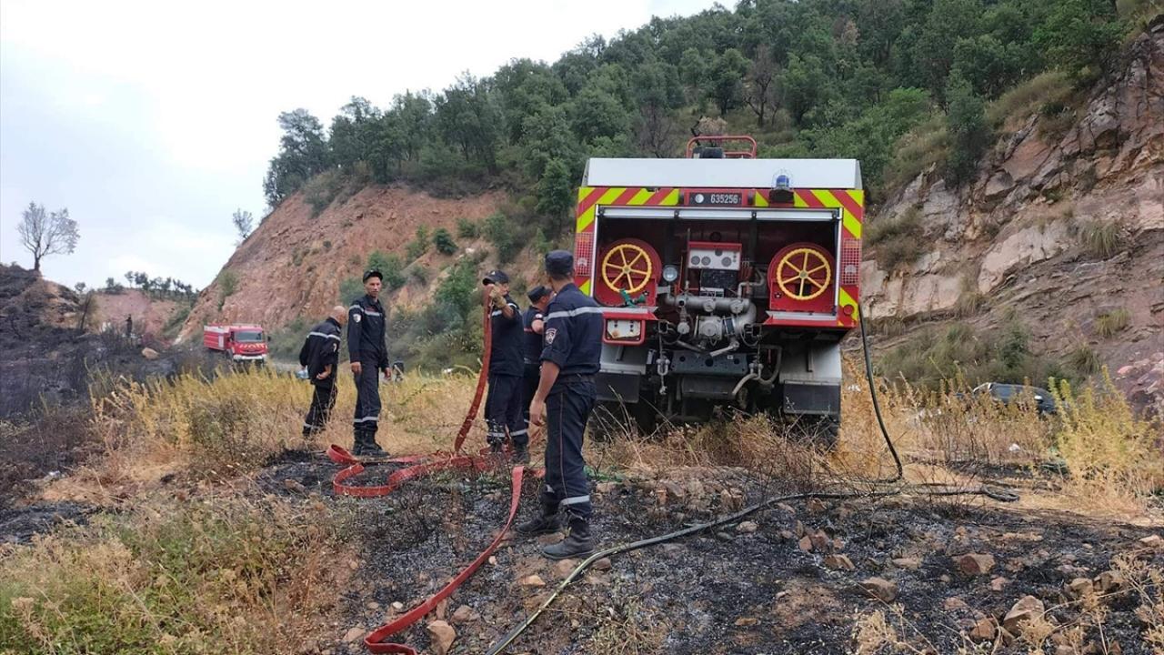 Cezayir’deki orman yangınlarında meyyit sayısı 41’e yükseldi