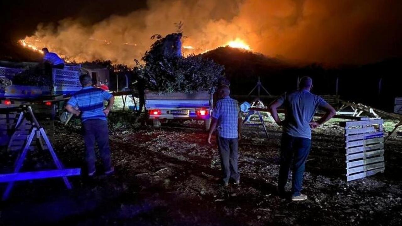 Söke’de korkutan orman yangını