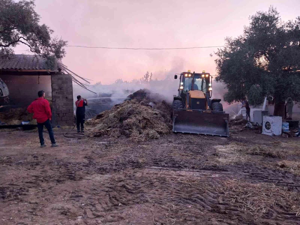 Son dakika haberleri | 3 ton samanın bulunduğu damda yangın çıktı