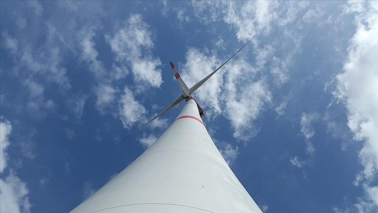 Deniz üstüne kurulan dünyanın en büyük rüzgar santrali hizmet vermeye başladı