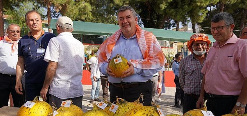 Ovacık’ta festival heyecanı başlıyor!