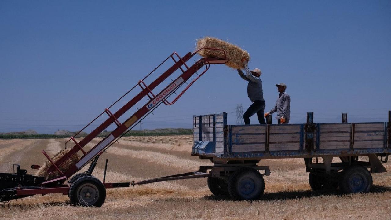 Türkiye’nin tahıl ambarından ilk rakamlar geldi: 2.2 milyon ton