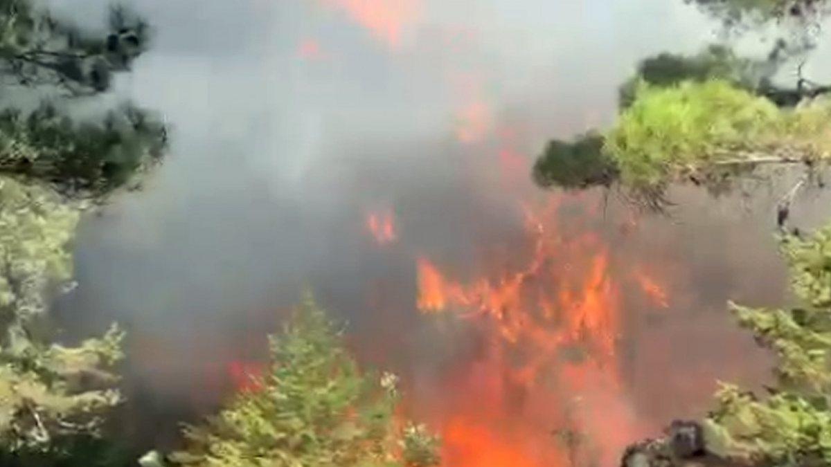 Antalya’da çıkan orman yangını, 2 saatte denetim altına alındı