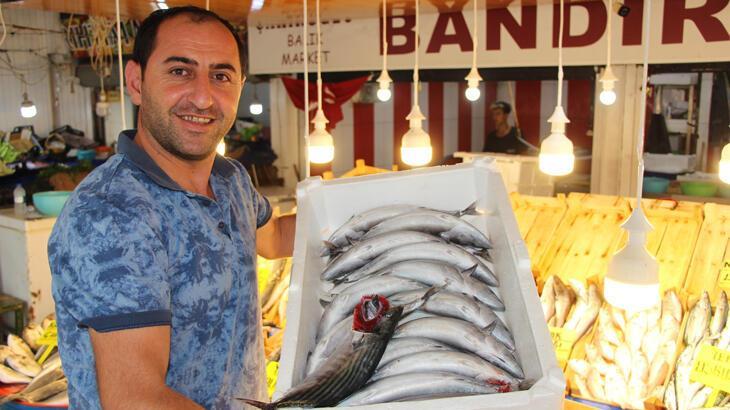 Av yasağı sona erdi, tezgahlarda palamut bollaştı