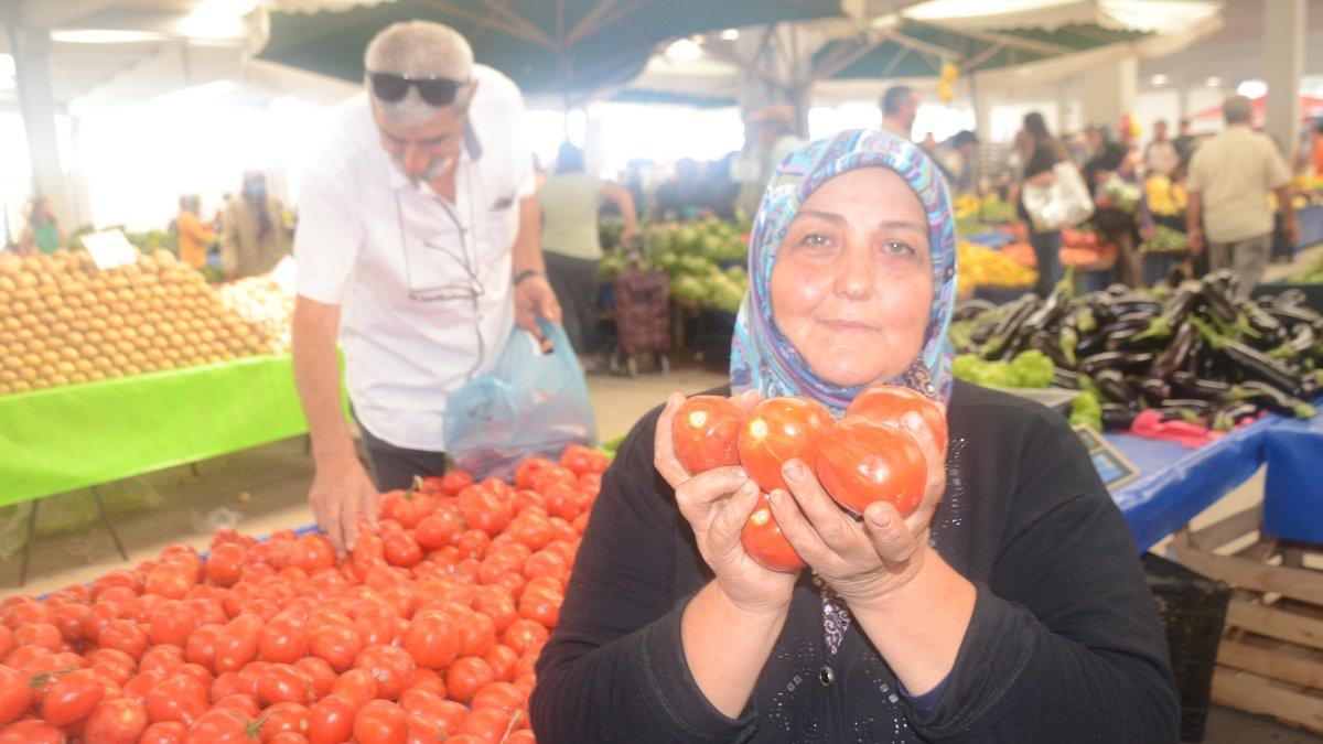 Bilecik’te salçalık domates ve biber dönemi başladı