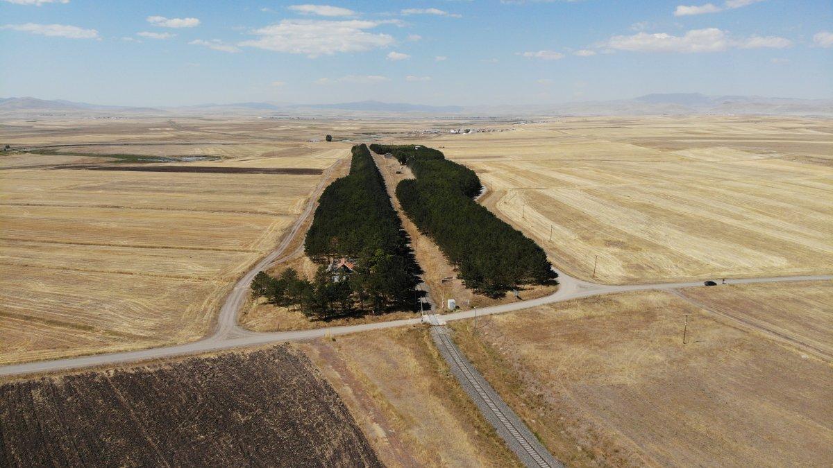 Kars’ta bozkırın ortasındaki ‘vaha’ büyülüyor