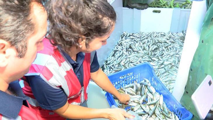 Marmara Denizi’nde avlanan balıkçılar denetlendi