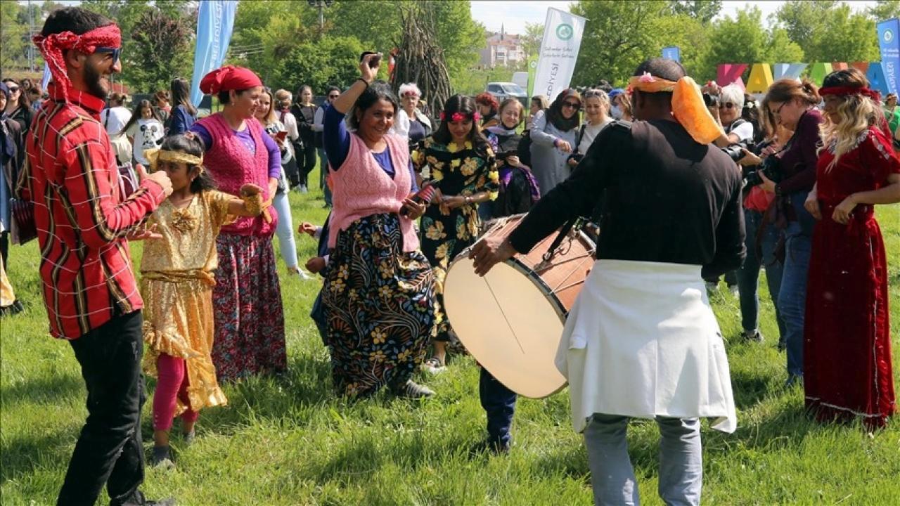 Roman vatandaşlara yönelik eylem planının hedefleri belirlendi