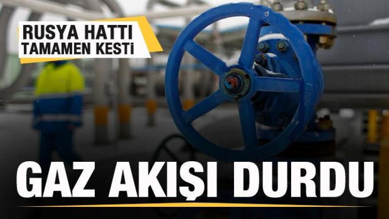 Rusya hattı tamamen kesti! Gaz akışı durdu