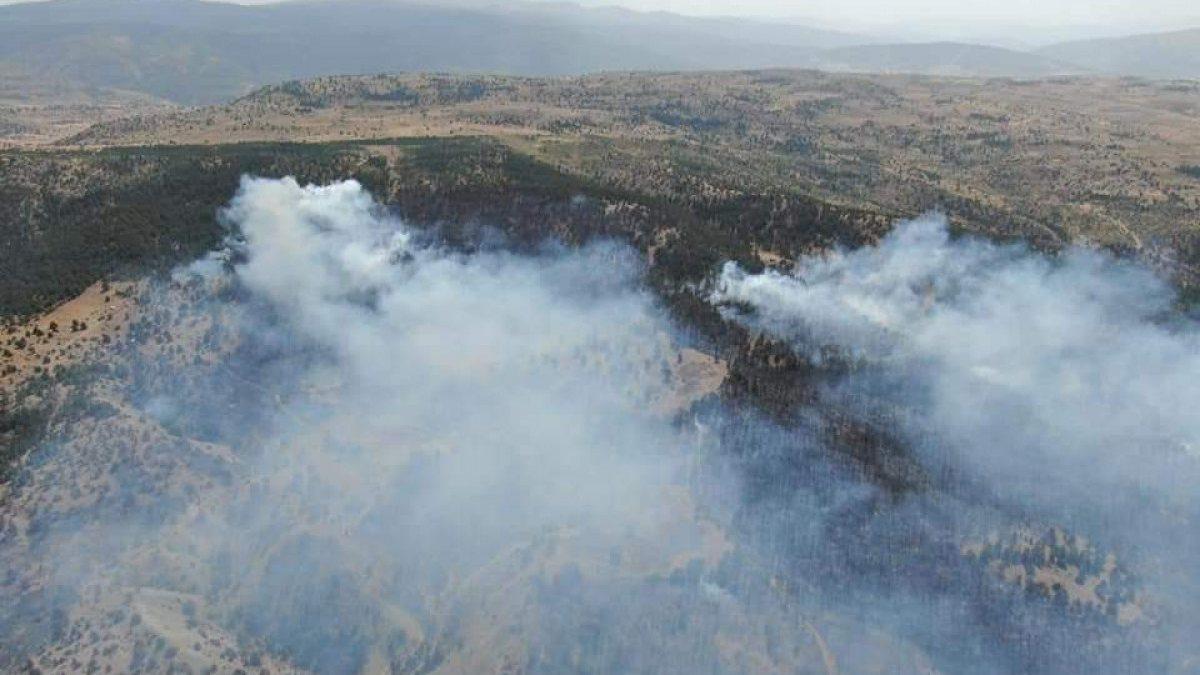 Erzincan’daki orman yangınında, 13 hektar kül oldu